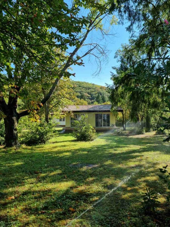 Fuk-Tak'S Bungalow Sztar Sztar Dojran Kültér fotó