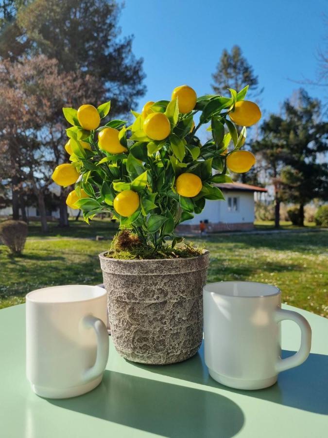 Fuk-Tak'S Bungalow Sztar Sztar Dojran Kültér fotó